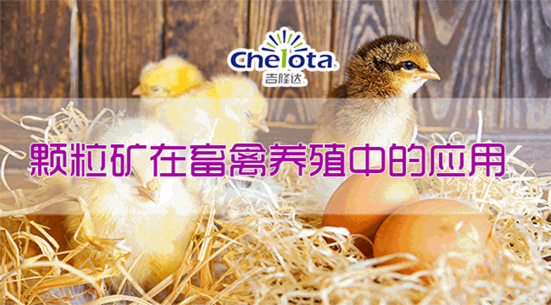 飼料添加劑