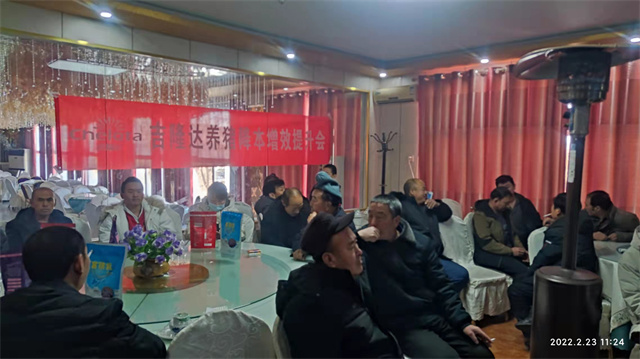 吉隆達養豬降本增效提升會(huì )