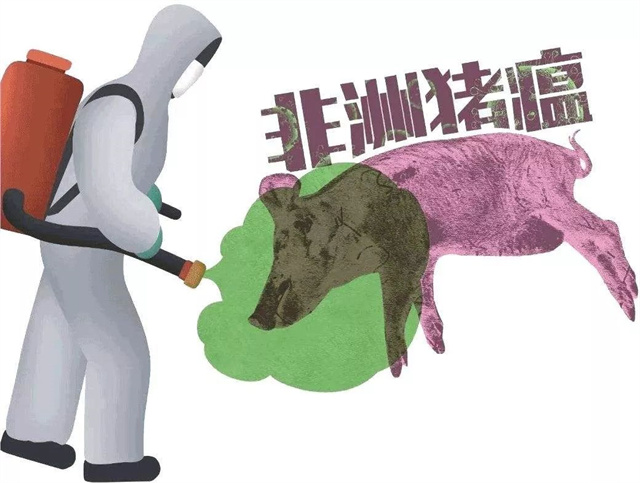 非洲豬瘟的影響