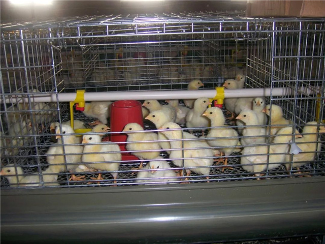 飼料添加劑