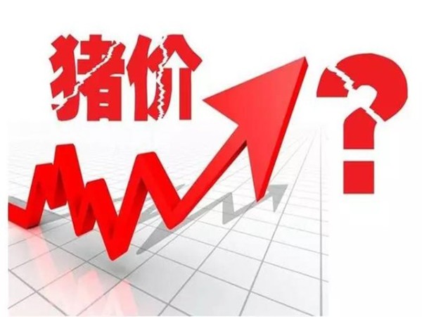 生豬生產(chǎn)轉折期