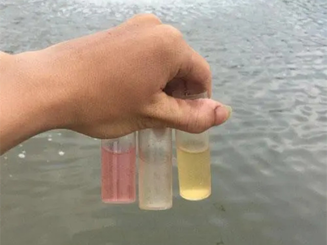 水體pH值對對蝦的影響